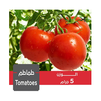 بذور طماطم 5 جرام